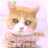 萌宠 猫星人 我从你眼里看到了什么 可爱 呆萌 搞怪