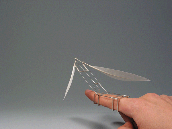 蜻蜓 翅膀 手指 飞翔 科学