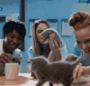猫 喵星人 萌宠 可爱