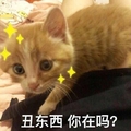 萌星人 可爱 猫 丑东西你在吗