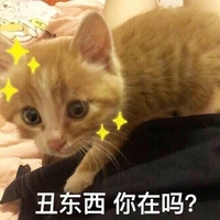 萌星人 可爱 猫 丑东西你在吗