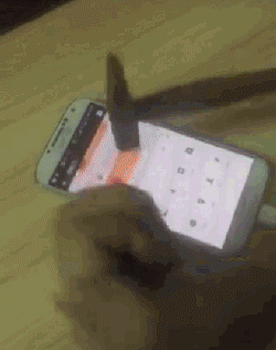 手机 抢红包 锤子 砸屏幕