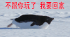 回家