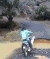 骑车 独木桥 过沟沟 搞笑