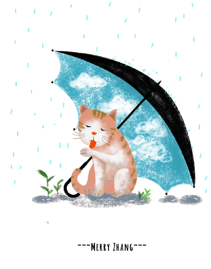 猫咪 打雨伞 可爱 傲娇的猫