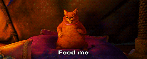 卡通 猫 食物 脂肪 怪物史莱克 饿
