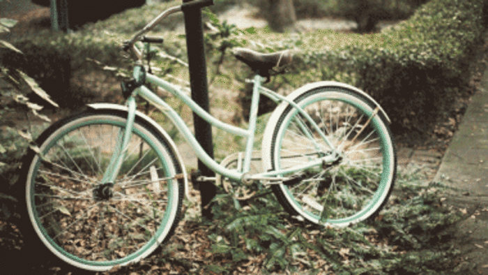 自行车 停靠 叶子 道路