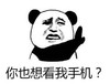 熊猫头 文字表情包 你也想看我手机 搞笑 沙雕 魔性