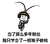 金馆长 蘑菇头 金箍 当了那么多年 粉丝 我只学会了 一招猴子偷桃