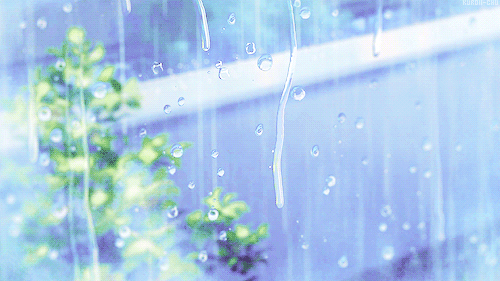 下雨 天气 绿叶 玻璃