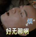 那年花开月正圆 soogif soogif出品 电视剧 那年花开月正圆34集 好无聊啊 陈晓 沈星移