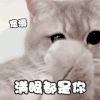 萌宠 猫星人 满眼都是你 开心 呆萌 可爱