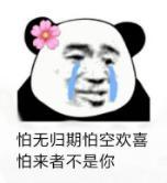 熊猫头 文字表情包 怕无归期怕空欢喜怕来着不是你 搞笑 沙雕 魔性