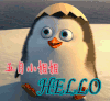 五月你好