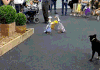 搞笑 厉害了 笑死人 哈哈哈