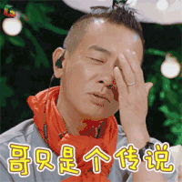 妻子的浪漫旅行 搞怪 陈小春 哥只是个传说 soogif soogif出品