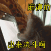 斗图 麻痹的 出来决斗啊