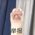 猫 举报 爪子