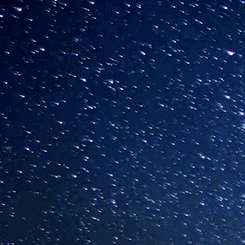 国家的 星体 方式 科学 淋浴 树 流星 风景 天文学 公园 流星雨 nordvarg 约书亚 NV