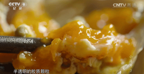 舌尖上的中国 美食类纪录片 海鲜 美味 鲜嫩