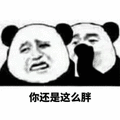 还是 胖 熊猫头