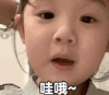 萌娃 金雪 哇偶 可爱 搞笑 动态图