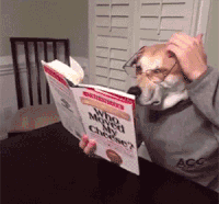 狗头 搞笑 逗逼 雷人