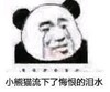 暴漫 文字表情包 小熊猫留下了悔恨的泪水 搞笑 逗 沙雕