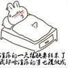 兔兔 睡觉 尴尬 单身狗 不可描述 猥琐 流氓兔