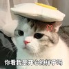 萌宠 猫星人 你看我是开心的样子吗 可怜 呆萌 可爱