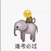 逢考必过 恶搞 骑大象 欢乐 猴子
