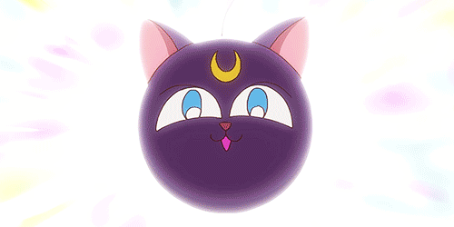 动漫 二次元 搞怪 美少女战士 猫