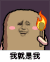 猫屎 金馆长 我就是我 火把