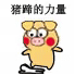 小黄猪踩死你 小黄猪 猪蹄的力量 搞笑 表情