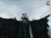 醉玲珑 刘诗诗 圣巫女 soogif soogif出品
