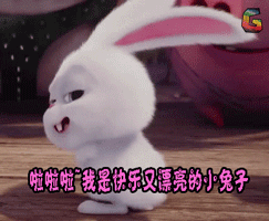 兔子 卡通 开心 啦啦啦我是快乐又漂亮的小兔子 soogif soogif出品