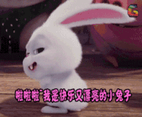 兔子 卡通 开心 啦啦啦我是快乐又漂亮的小兔子 soogif soogif出品