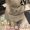 王者农药表情包 抢人头 王者荣耀