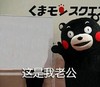 熊本熊 摊手 卖萌 这是我老公