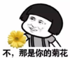 暴漫 文字表情包 不 那是你的菊花 搞笑 逗 魔性