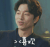 孤单又灿烂的神鬼怪 孔侑 孔刘 喜欢