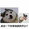 哈士奇 皮这一下你很他娘的开心 斗图 李时珍的皮