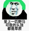 熊猫头 暴漫表情包 爱上一匹野马可我的头顶都是草原 搞怪 沙雕 逗趣