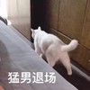 萌宠 猫星人 猛男退场 我走了 呆萌 可爱