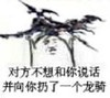 扔狗 金馆长 生气 对方不想和你说话并向你扔了一个龙骑