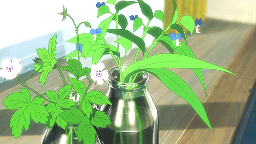 叶子 植物 花 瓶子