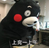 熊本熊 搞笑 可爱 萌 工作