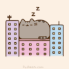 动漫 猫咪 可爱 打呼噜