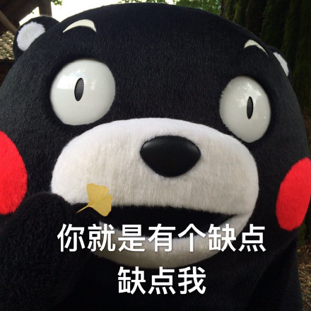 熊本熊 土味情话 缺点 缺点我 撩