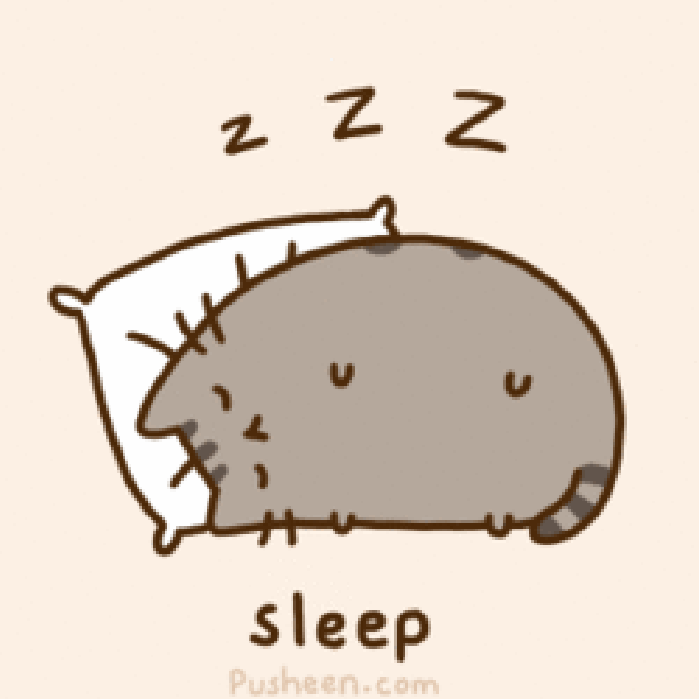 灰猫 熟睡 可爱 动漫